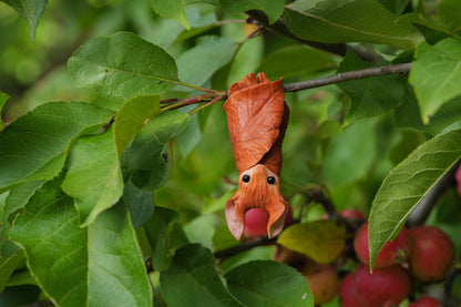 The Leaf Bat