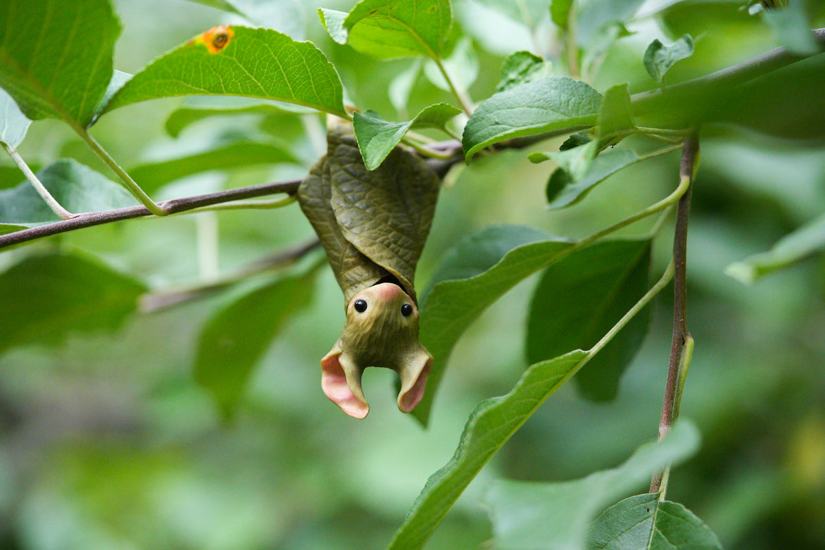 The Leaf Bat