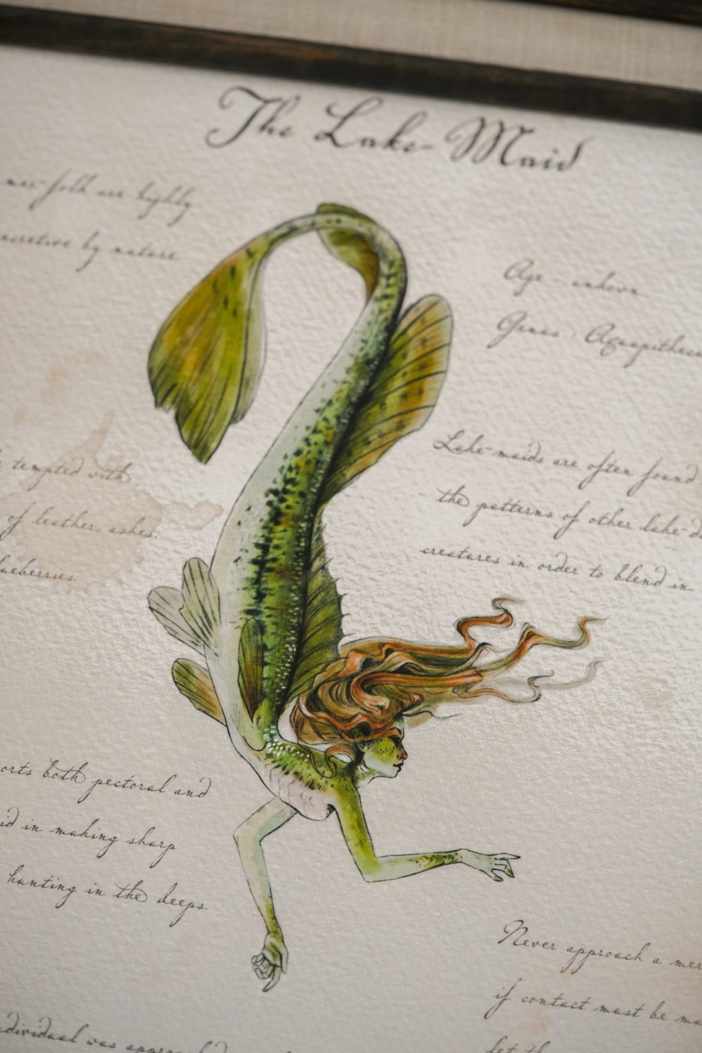 Northern Lakemaid with Notes - Giclée Art Print