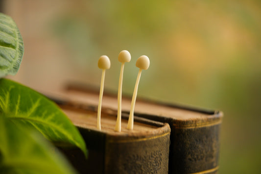 Mushroom Bookmarks - Glowing