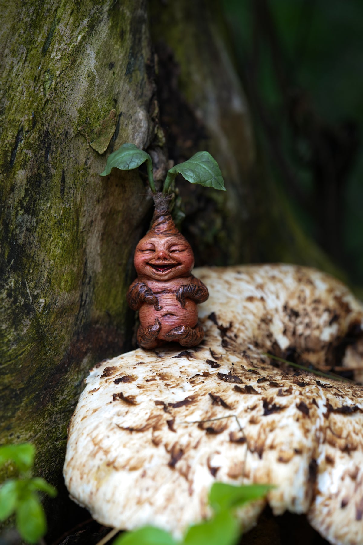 Mandrake Root