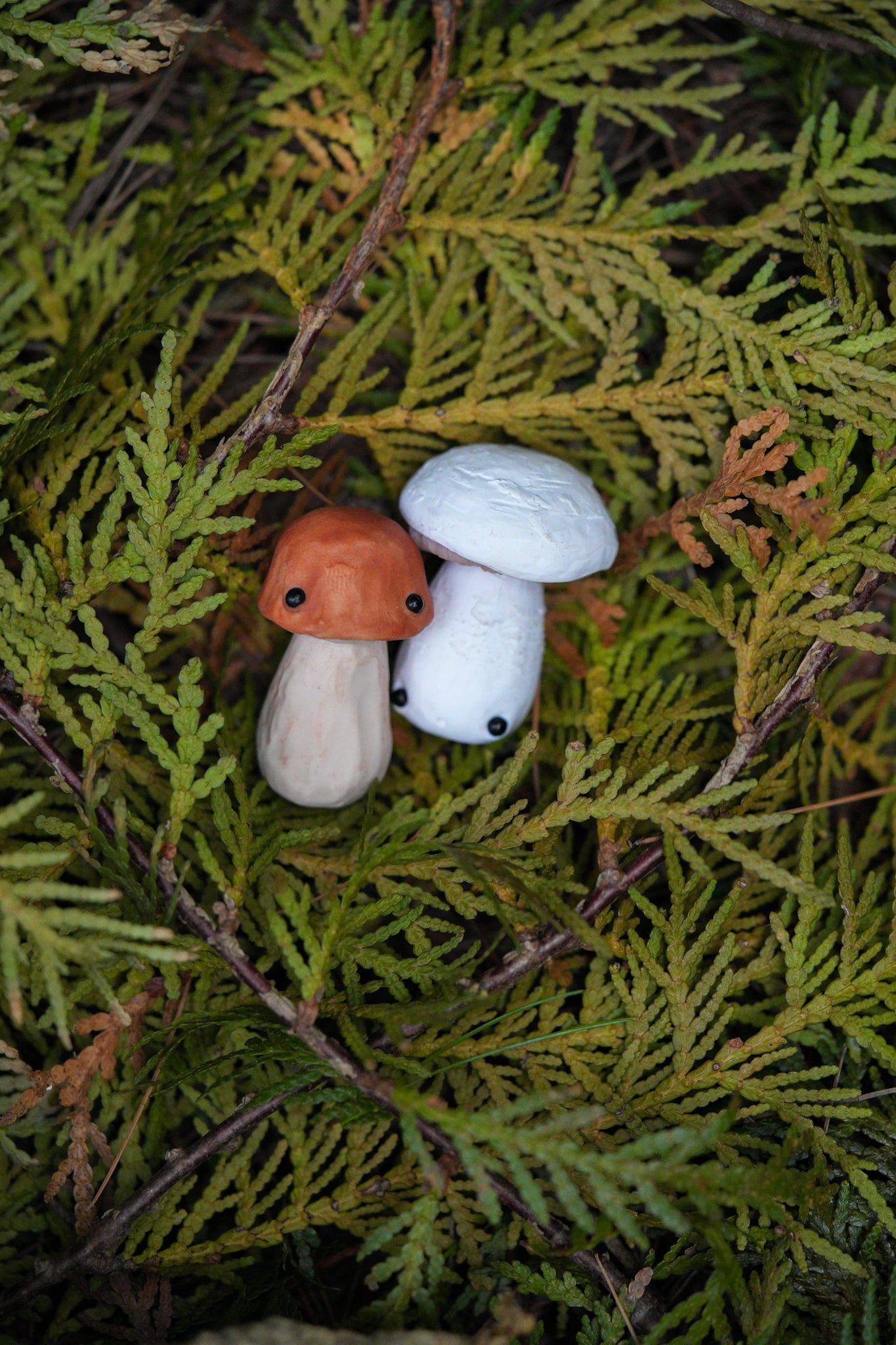 Mushrooms