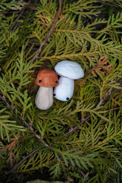 Mushrooms
