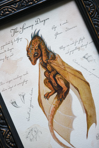 Swamp Dragon with Notes - Giclée Art Print