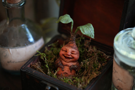 Mandrake Root