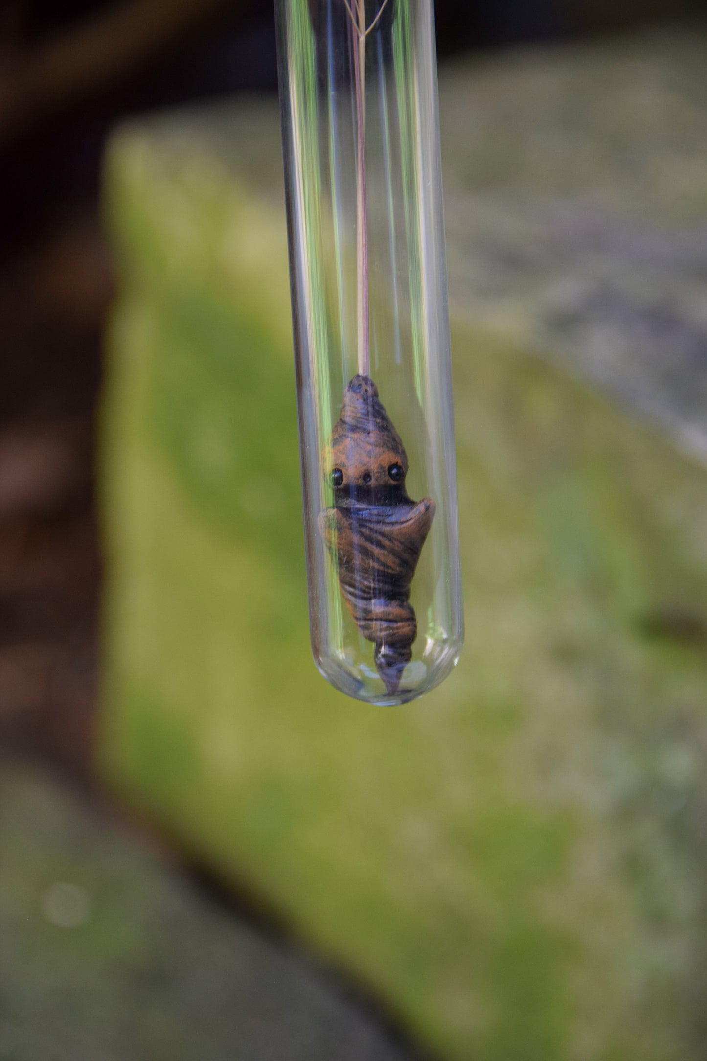 Grass Mandrake - PolymerClay Figurine in a test tube
