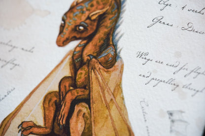 Swamp Dragon with Notes - Giclée Art Print
