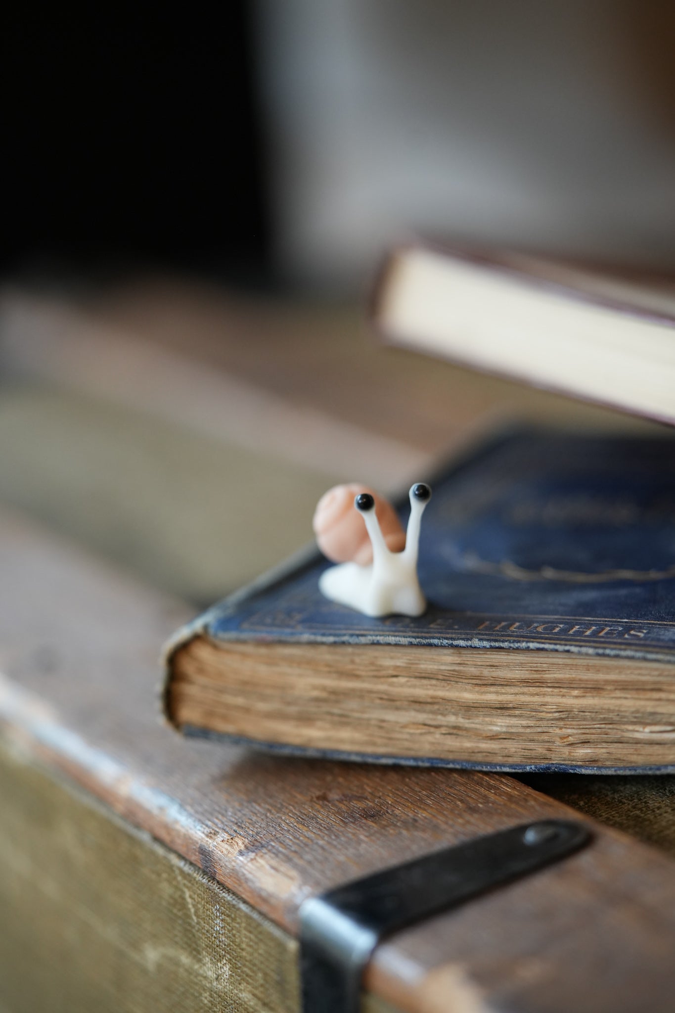 Mini Snails