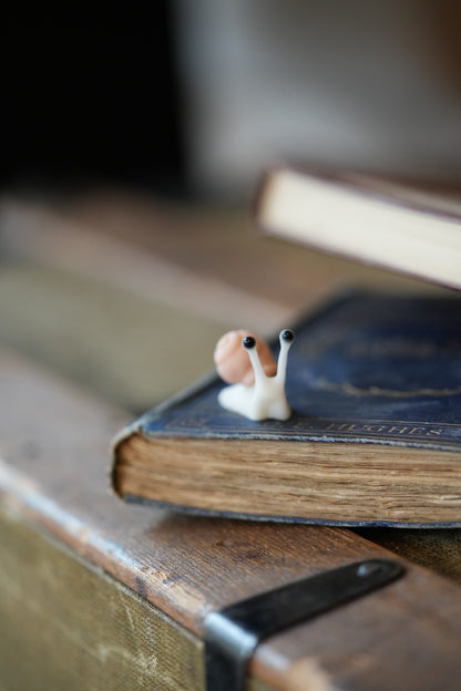 Mini Snails