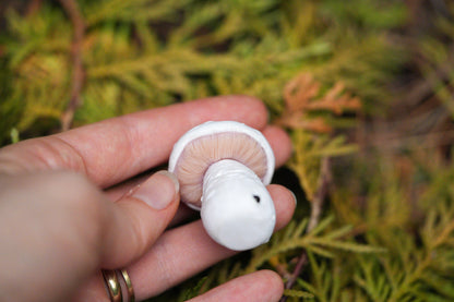 Mushrooms