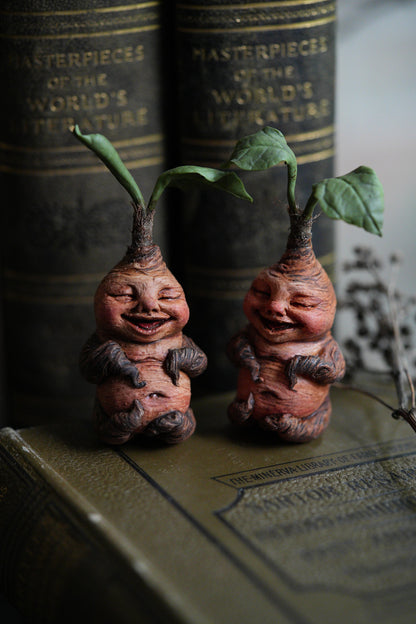 Mandrake Root