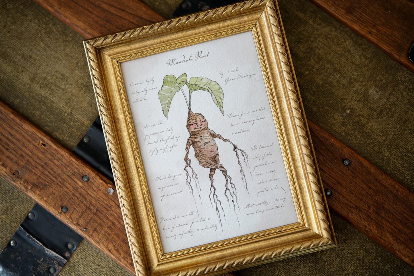 Mandrake Textbook Page - Giclée Art Print