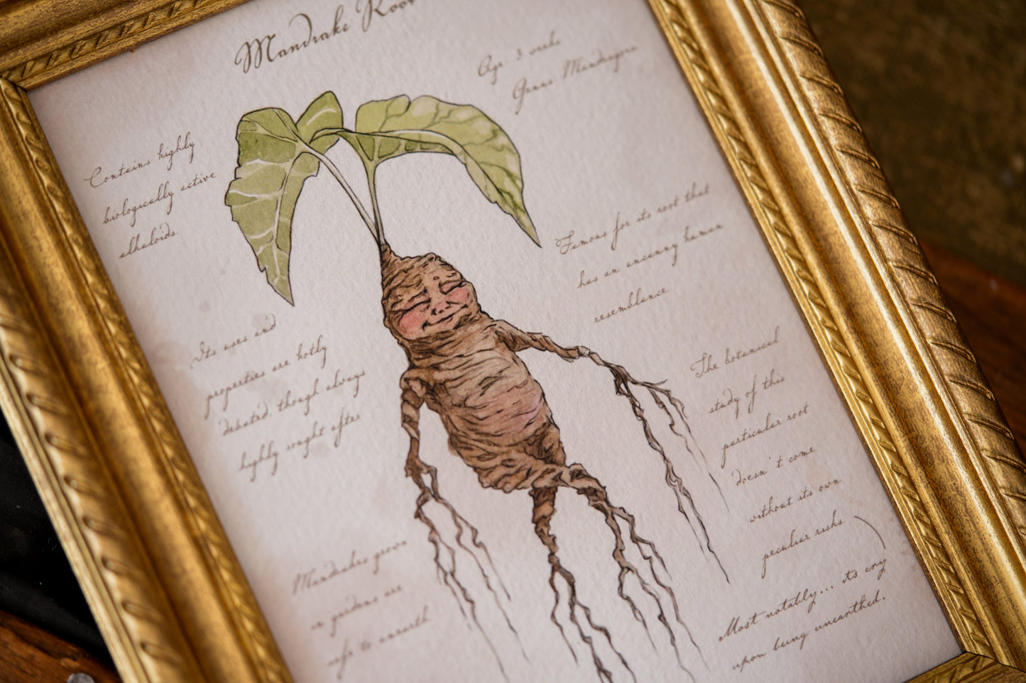 Mandrake Textbook Page - Giclée Art Print