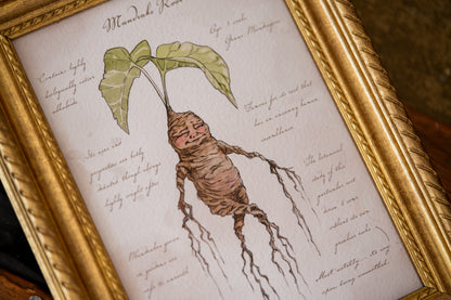 Mandrake Textbook Page - Giclée Art Print