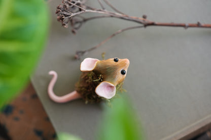 The Moss Mouse