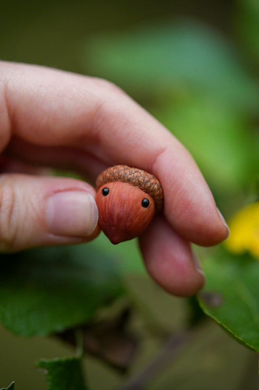 Acorn