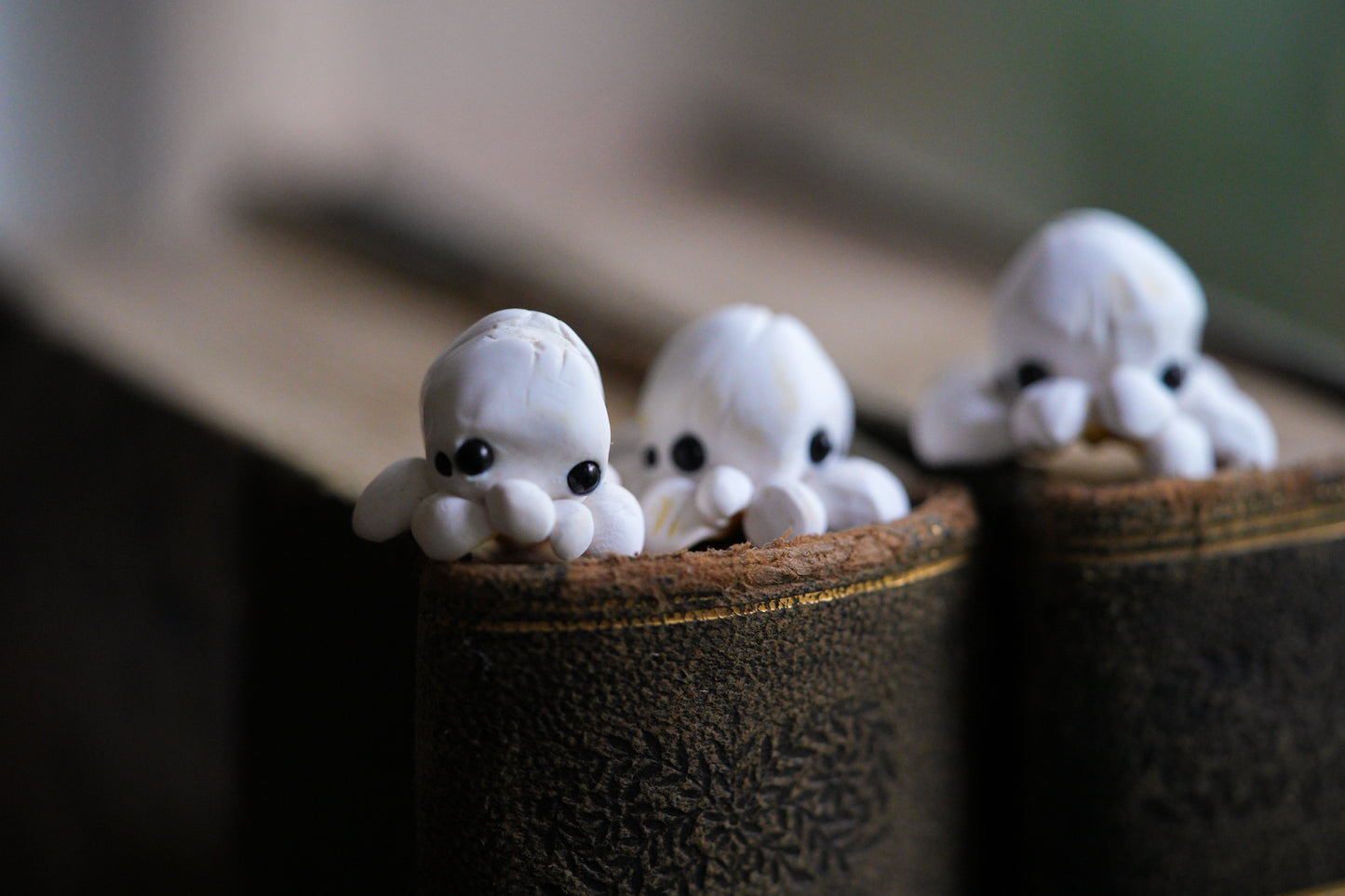 Popcorn Spiders