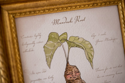 Mandrake Textbook Page - Giclée Art Print