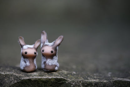 Dust Bunny