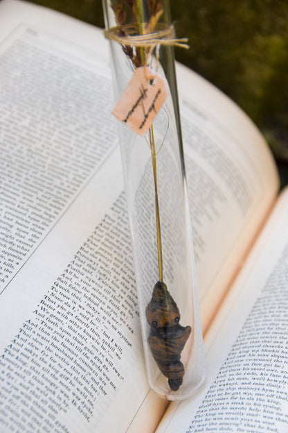Grass Mandrake - PolymerClay Figurine in a test tube