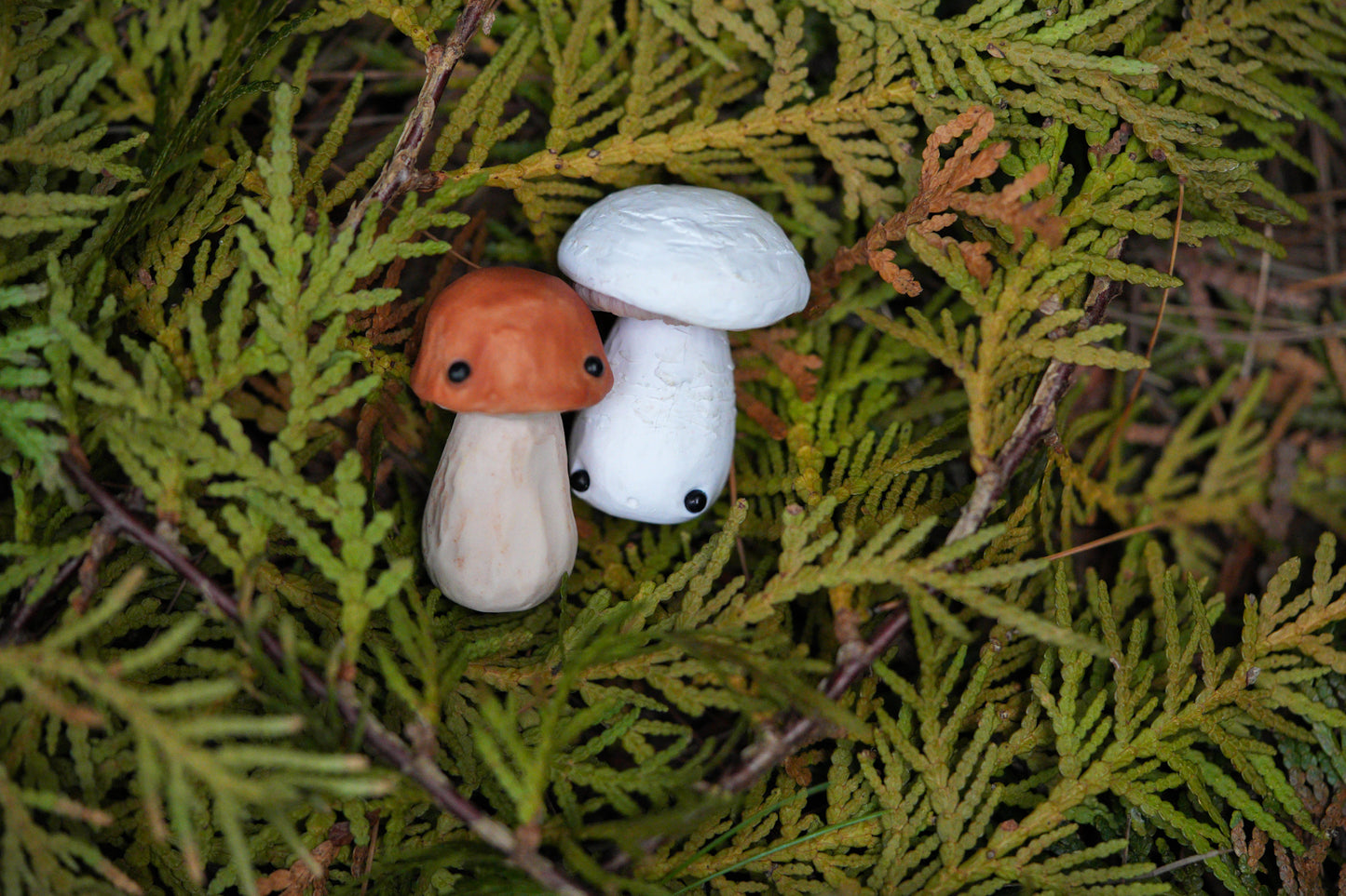 Mushrooms