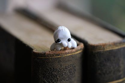 Popcorn Spiders