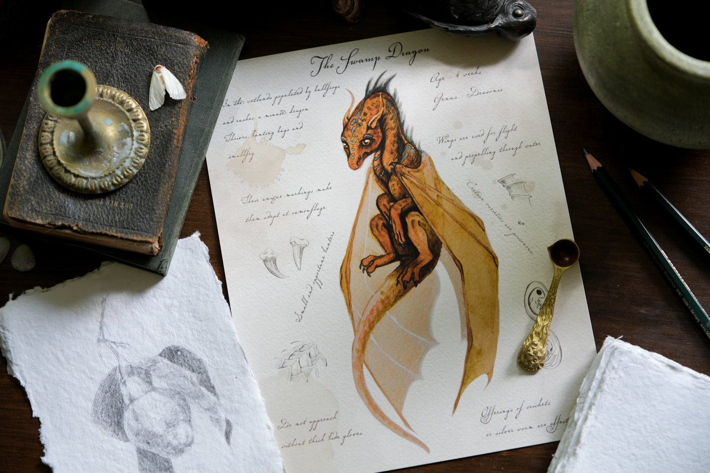 Swamp Dragon with Notes - Giclée Art Print
