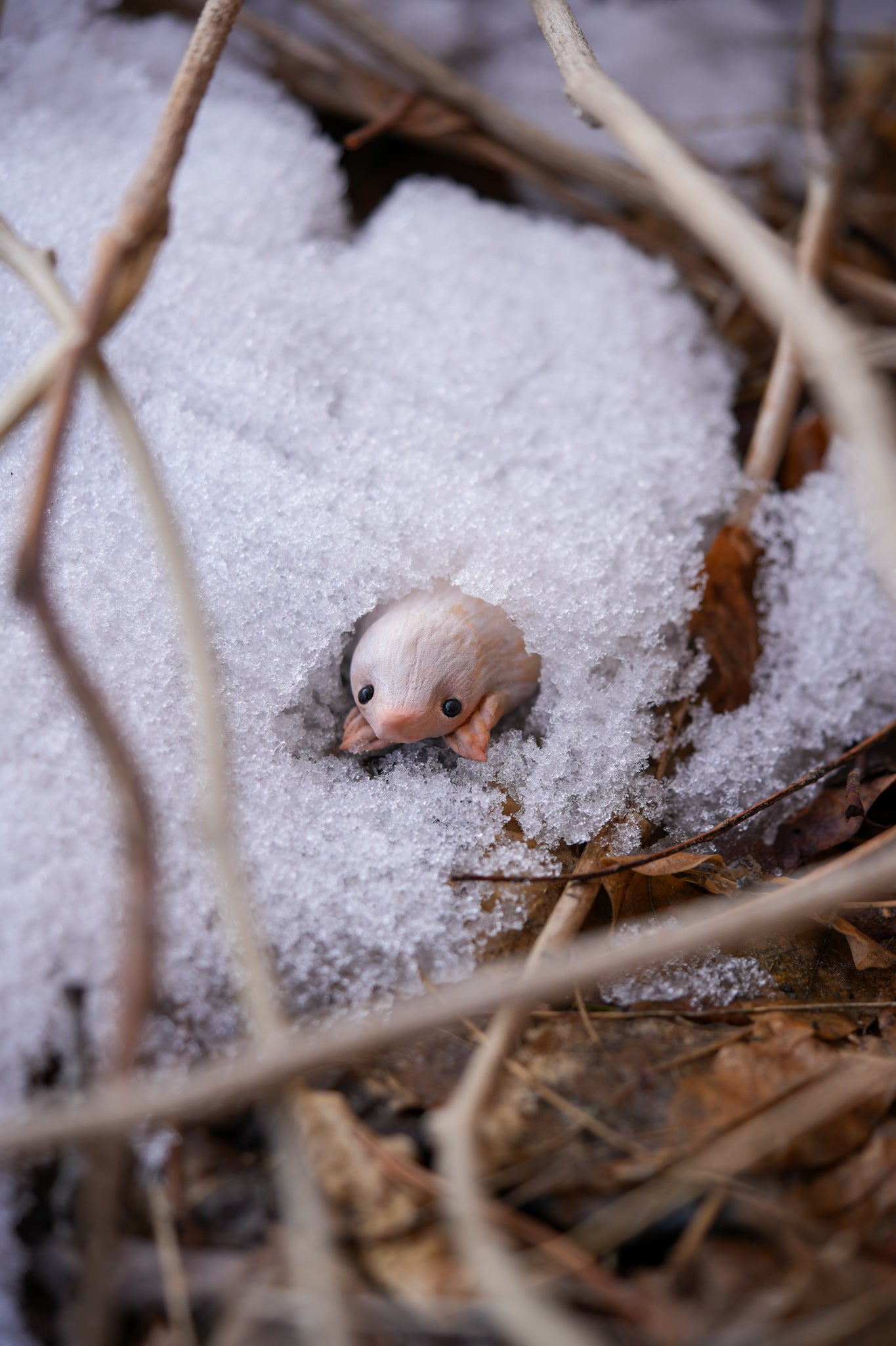 The Snow Mole — Miniature Fantasy Creature