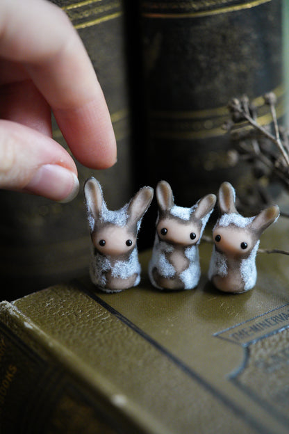 Dust Bunny