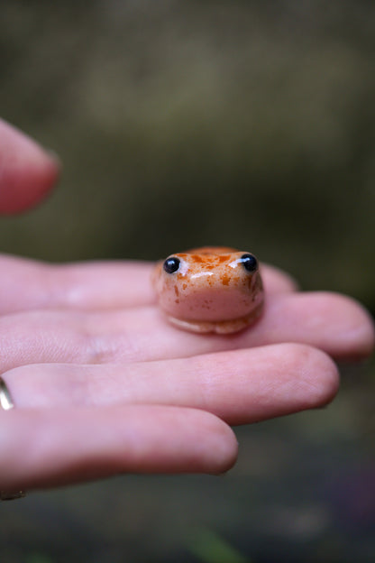 Toads