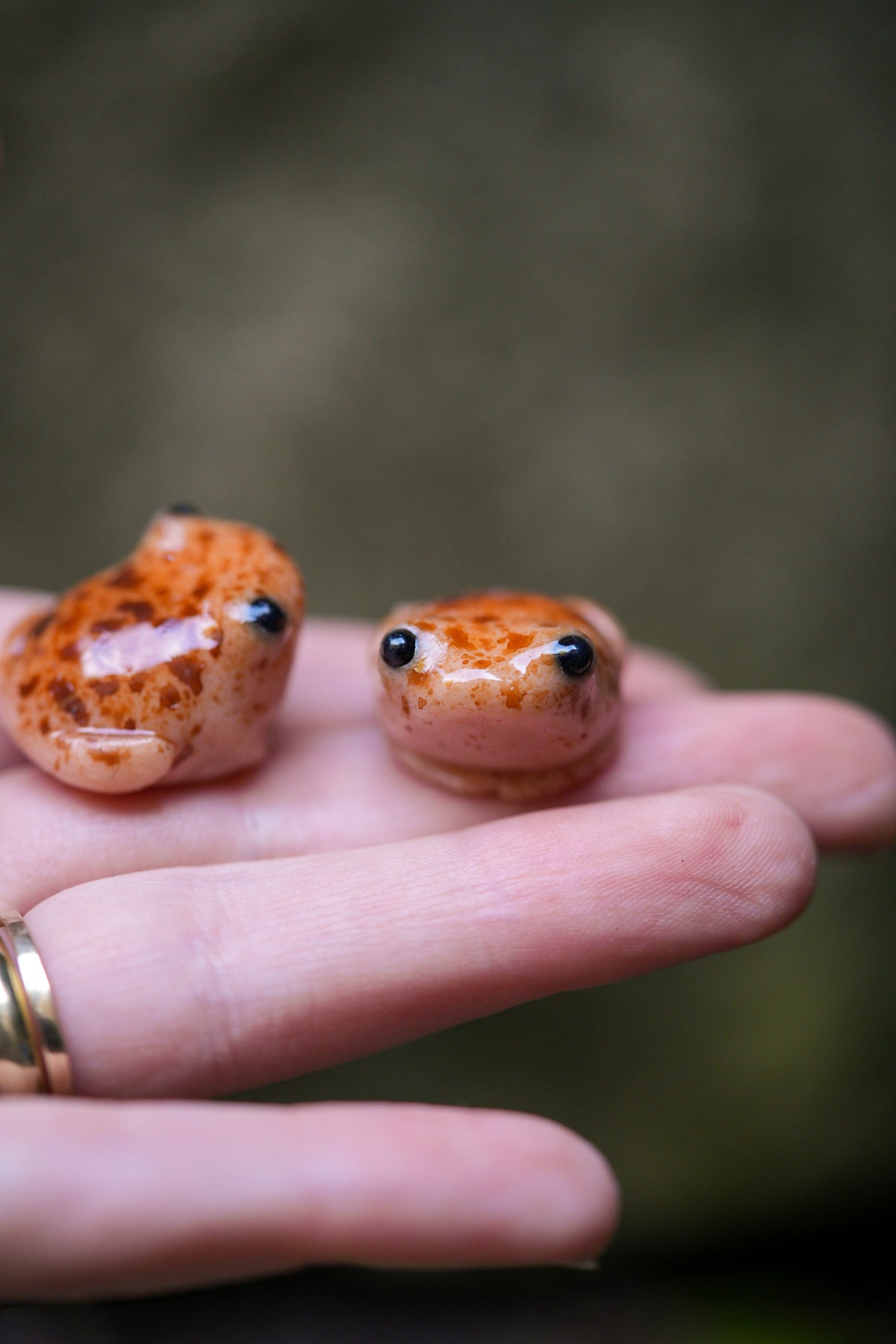 Toads
