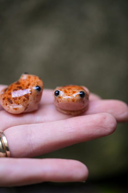 Toads