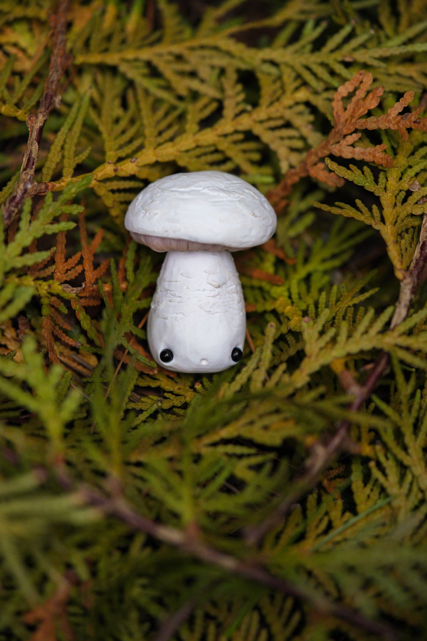 Mushrooms