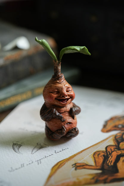 Mandrake Root