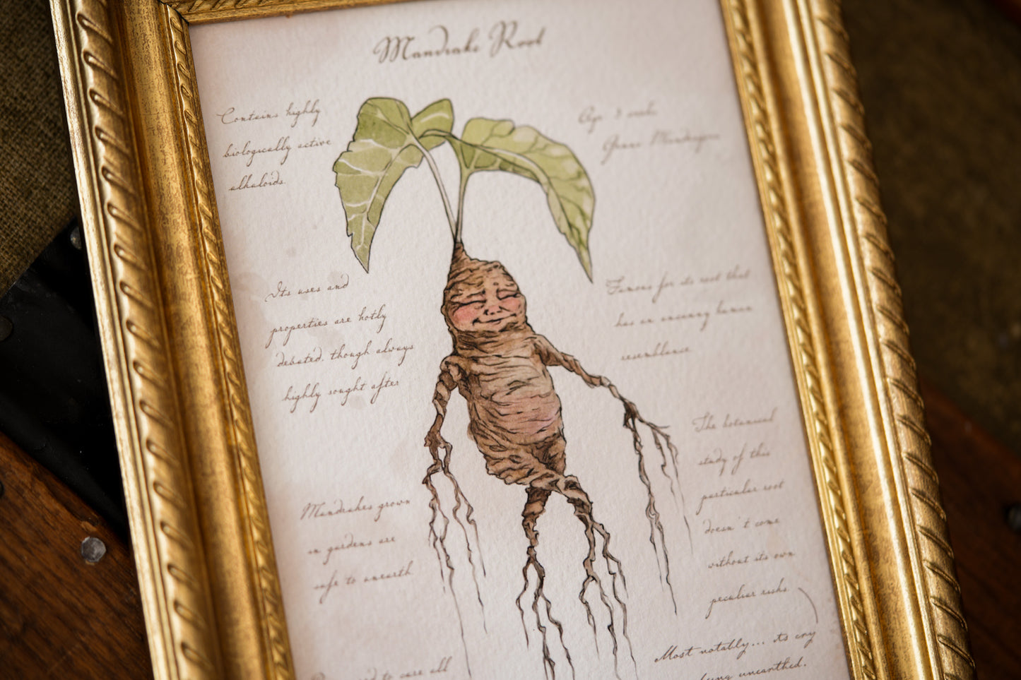 Mandrake Textbook Page - Giclée Art Print