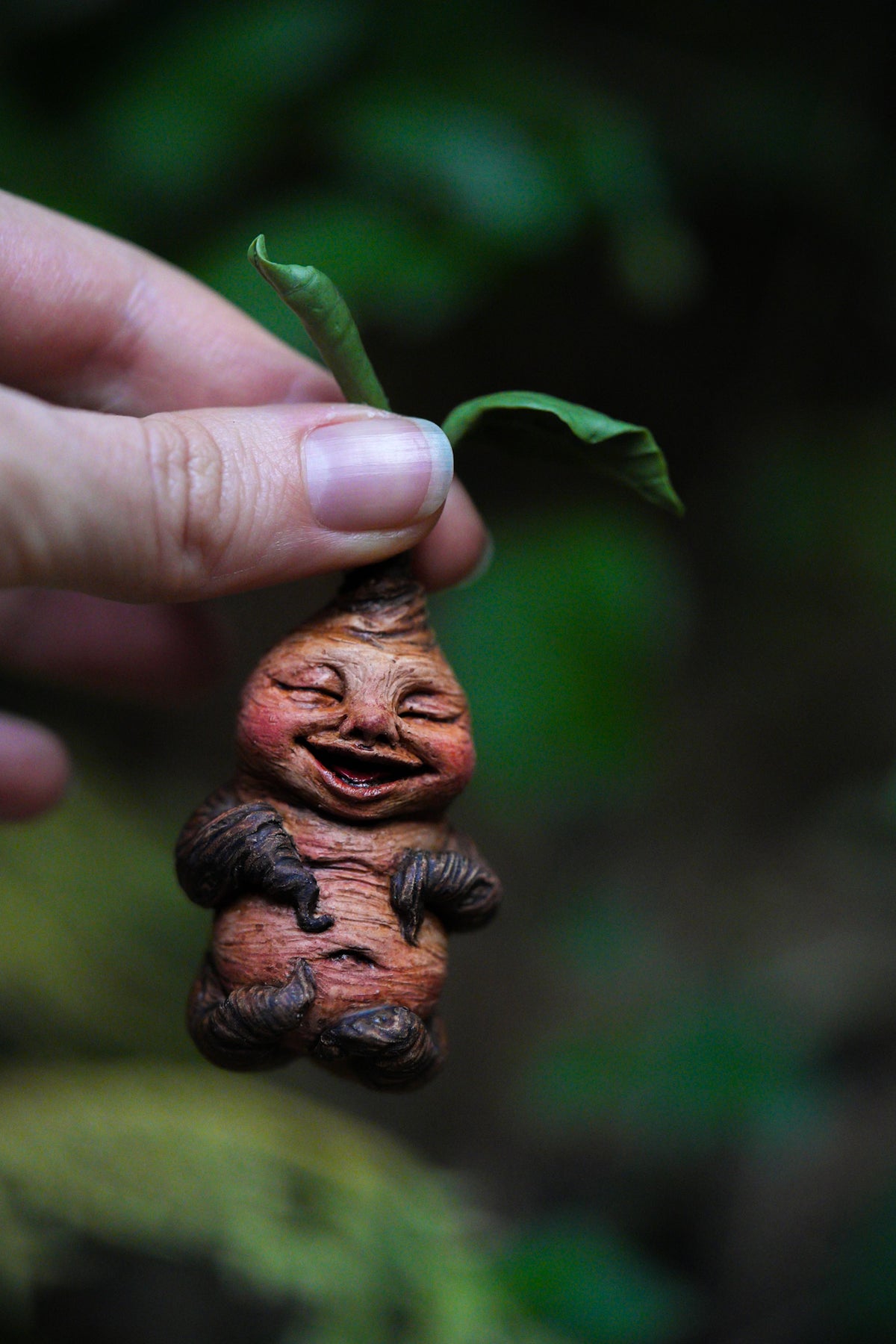 Mandrake Root