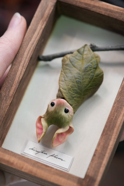 The Leaf Bat