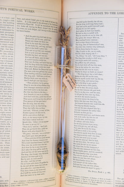Grass Mandrake - PolymerClay Figurine in a test tube