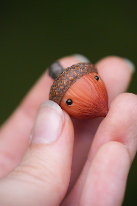Acorn