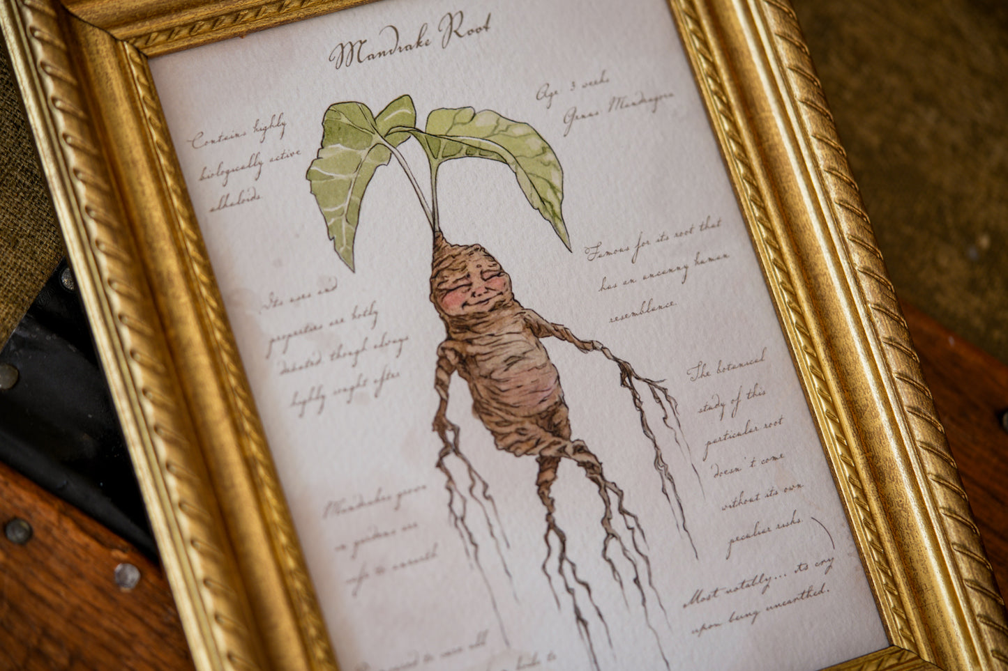 Mandrake Textbook Page - Giclée Art Print