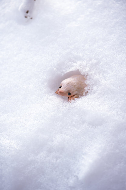 The Snow Mole — Miniature Fantasy Creature
