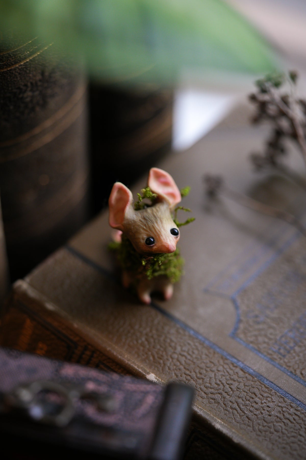 The Moss Mouse