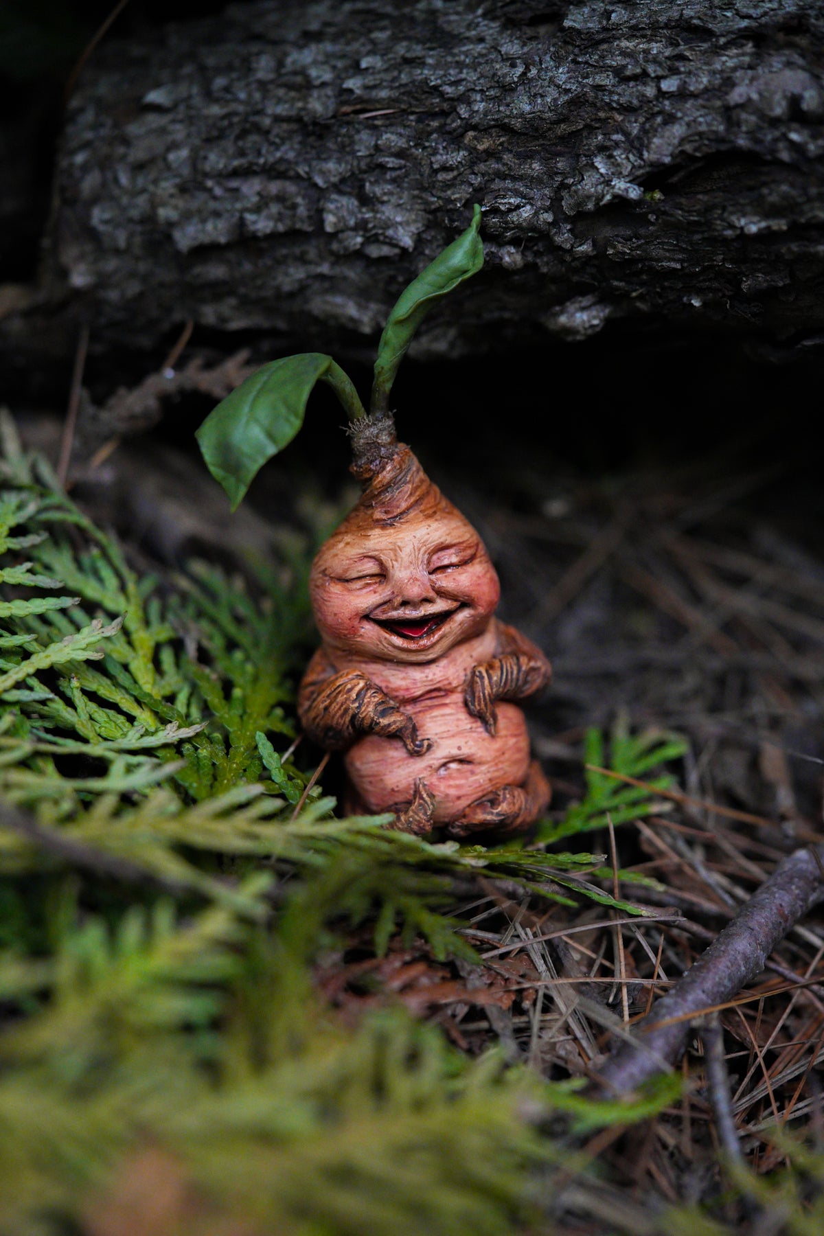 Mandrake Root