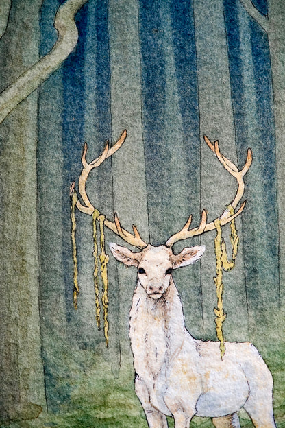 White Stag in the Dark Woods -  Giclée Art Print