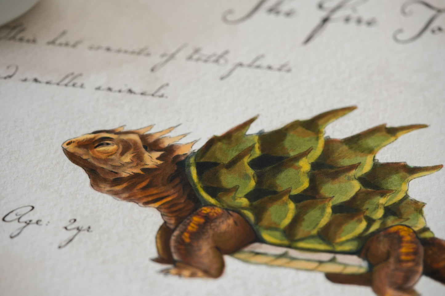 Fire Toad with Notes - Giclée Art Print