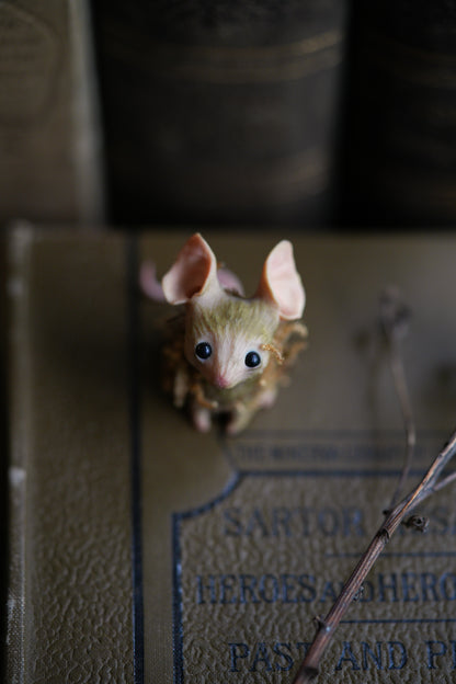 The Moss Mouse