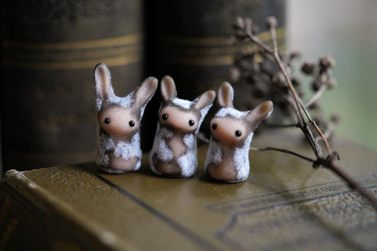 Dust Bunny