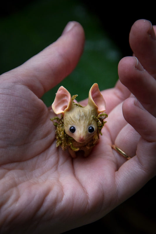 The Moss Mouse