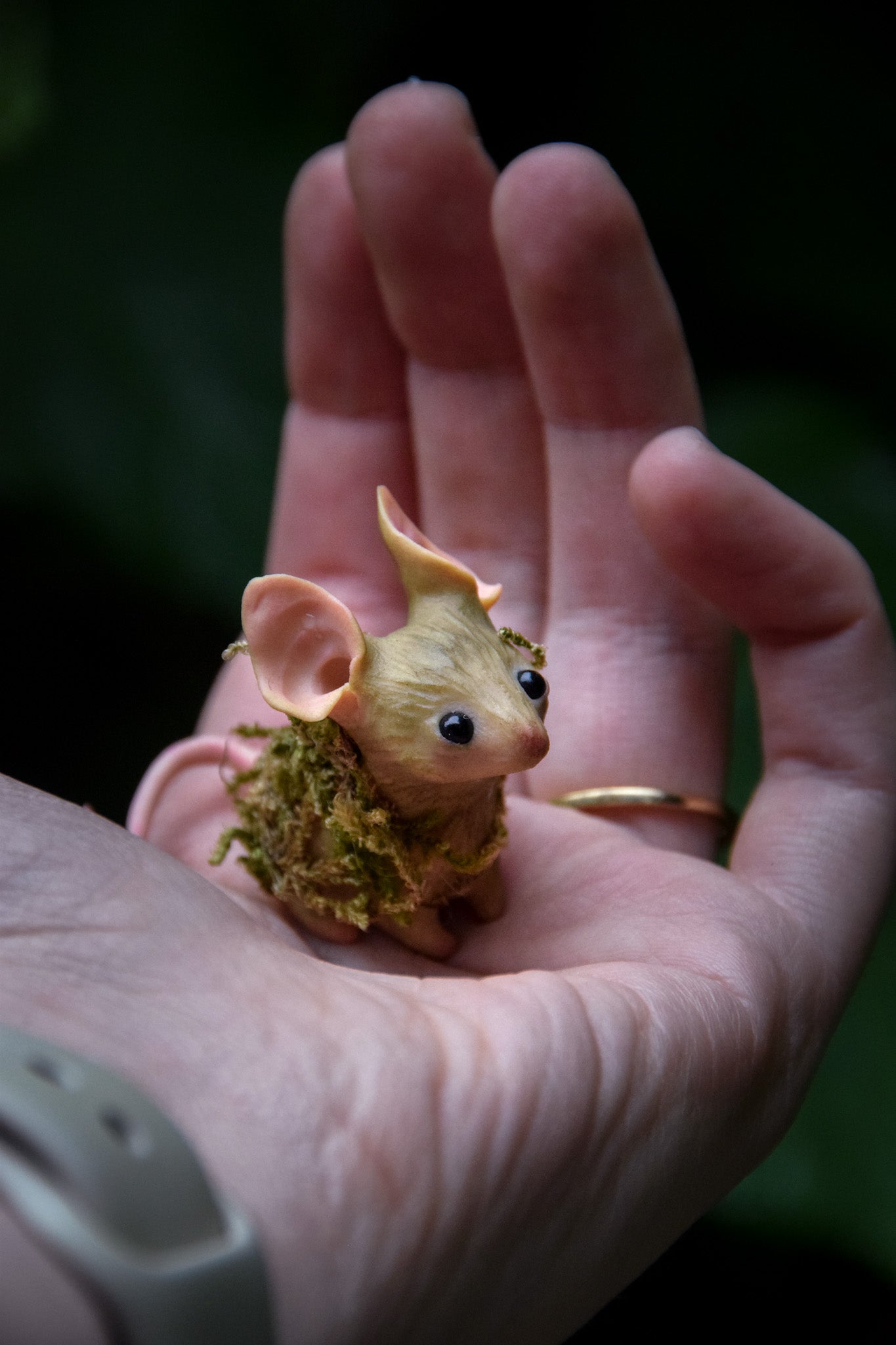 The Moss Mouse