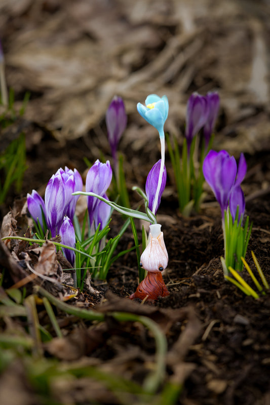 Blue Crocus — PolymerClay Figurine